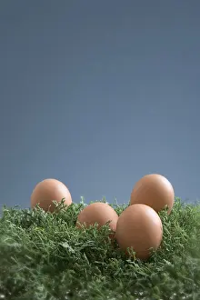 Easter Eggs In Grass Stampe: Easter eggs in the grass
