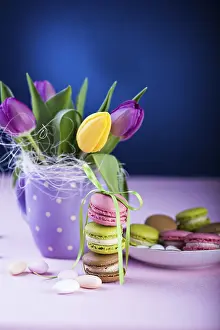Empty Bakery Products Display Stampe: The easter installation with macarons