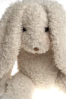 Easter Bunny Figurine Stampe: Easter rabbit