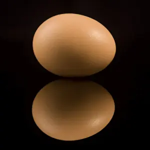 Still Life Cuisine Stampe: Egg
