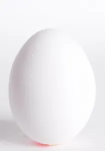 Egg Nutrition Stampe: Egg