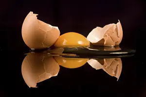 Balanced Diet Ingredients Stampe: Egg