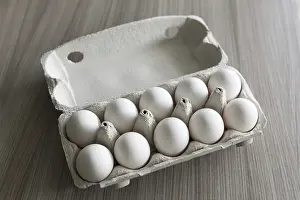 Uninhabited Desert Scene Stampe: Eggs in the box