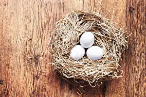 Easter Eggs Stampe: Eggs in a nest, easter composition