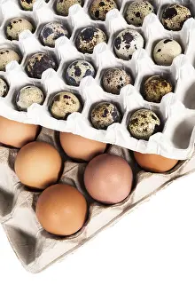 Plain Colored Background For Text Stampe: Eggs in the package on a white background