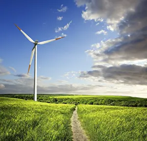 Electric Generator Stampe: Environment