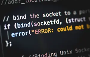 Data Security Breach Stampe: Error, bug, syntax, source code