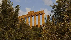 Historic Temple Complex Stampe: Evening light, row of columns, chapter