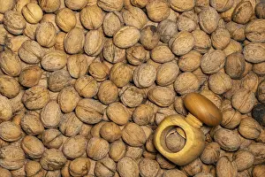 Empty Wooden Table Setting Stampe: Evenly distributed walnuts spread out to fill the format with a wooden nutcracker as a background