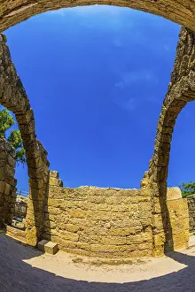 Western Asia Architecture Stampe: Excursion to the Archaeological Park
