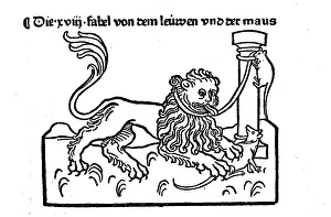 Panthera Leo Pictures Stampe: The Fable of the Lion and the Mouse