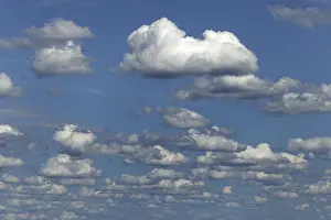 Cumulus Humilis Clouds Stampe: Fair weather clouds, cloud clusters