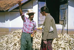 Rural Farm Life Stampe: Farmer growing sweetcorn explains to a visitor