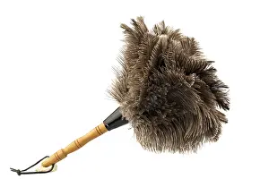 Light Colored Background Stampe: A feather duster in front of a white background