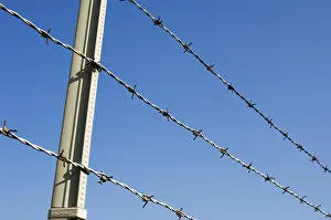 Barbed Wire Fence Stampe: Fence