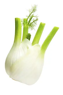 Studio Environment For Food Photography Stampe: Fennel