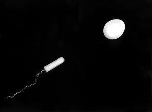 Fertilization Process Stampe: Fertilization