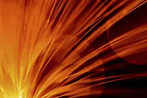 Detailed Macro Photography Stampe: Fibre Optic Abstract
