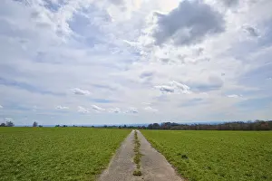 Neckar River Waterfront Stampe: Field path, meadow, clouds, spring