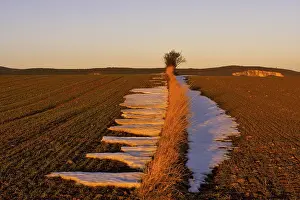 Lower Austria Winter Landscape Stampe: Fields in the evening light, St