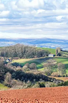 Uninhabited Farm Fields Stampe: Fields and Farmlands over Devon