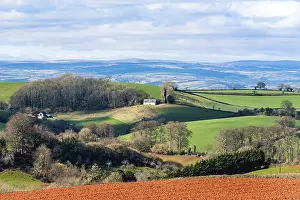 British Countryside Stampe: Fields and Farmlands over Devon