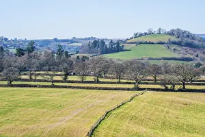Acreage Landscape Photography Stampe: Fields and Farmlands over Devon