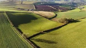 Fields And Farms From Above Stampe: Fields and Farms from a drone, Devon
