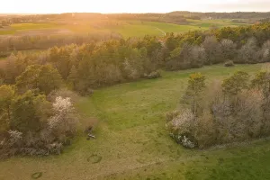 Evening Sun In The Black Forest Stampe: Fields and forests in soft sunset light