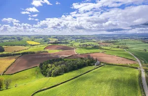 Devon Countryside Scenery Stampe: Fields and Meadows over Berry Pomeroy