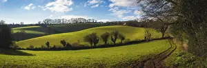 British Countryside Stampe: Fields and Meadows of Conqueror Wood