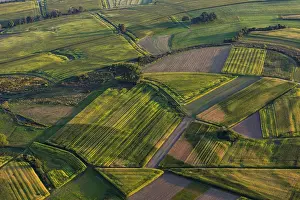 Atmospheric Evening Shots Stampe: Fields and meadows in evening light