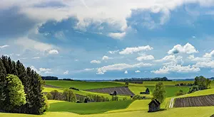 Bavaria Countryside Stampe: Fields and meadows with field path and small hut