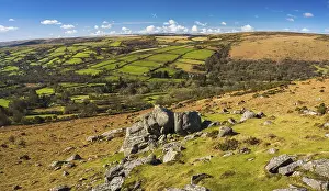 Devon England Landscape Stampe: Fields and meadows in Haytor Rocks