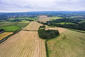 Northern Europe Farming Stampe: Fields and Meadows over Torbay