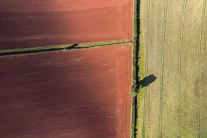 Uninhabited Agricultural Land Stampe: Fields and Meadows over Torbay