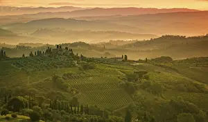 Tuscany Landscape Stampe: Fields in Tuscany