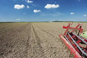 Dutch Windmill Landscape Stampe: Fields with young vegetable fields and detail of planting machine