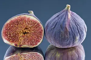 Fresh Figs Stampe: Figs