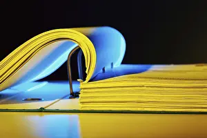Empty File Folders Stampe: A file folder with documents and papers