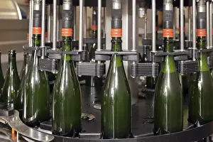 Sparkling Wine Production Stampe: Filling machine