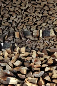 Wood Pattern Structure Stampe: Firewood, logs, split