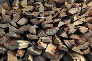 Split Firewood Stampe: Firewood, logs, split