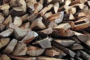 Wood Pattern Structure Stampe: Firewood, logs, split