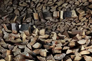 Wood Pattern Structure Stampe: Firewood, logs, split