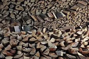 Wooden Structure Stampe: Firewood, logs, split
