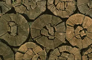 Wooden Structure Stampe: Firewood, split logs