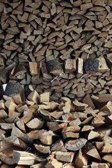 Uninhabited Landscape Stampe: Firewood, split logs