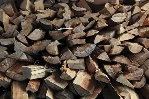Split Firewood Stampe: Firewood, split logs