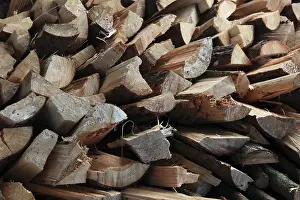 Firewood Logs Stampe: Firewood, split logs